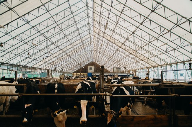 Vařit z lokálních surovin na Náchodsku je možné 