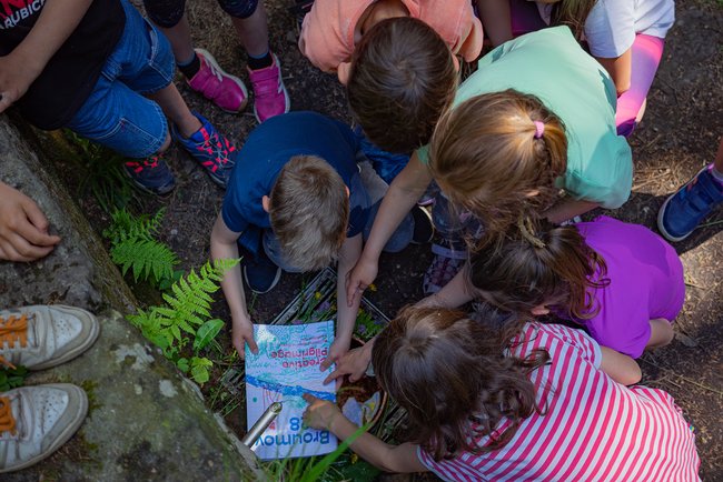 Broumovská labuť doletěla s přihláškou na ministerstvo kultury
