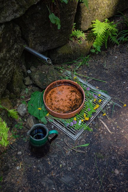 Broumovská labuť doletěla s přihláškou na ministerstvo kultury