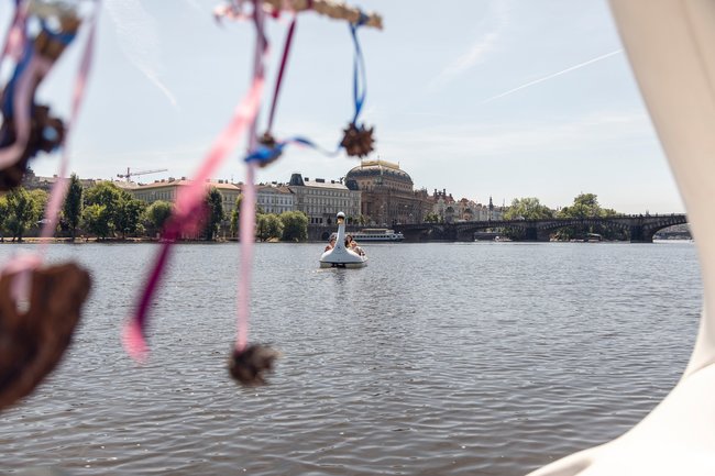 Broumovská labuť doletěla s přihláškou na ministerstvo kultury