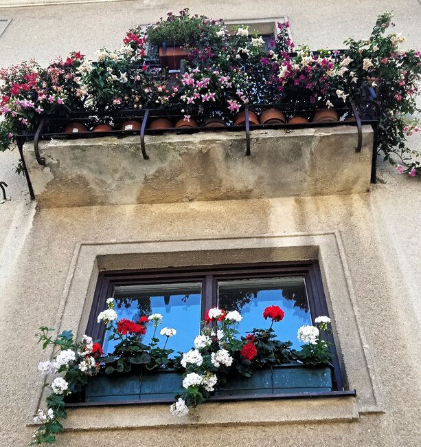 Police nad Metují: Rozkvetlé město 2024