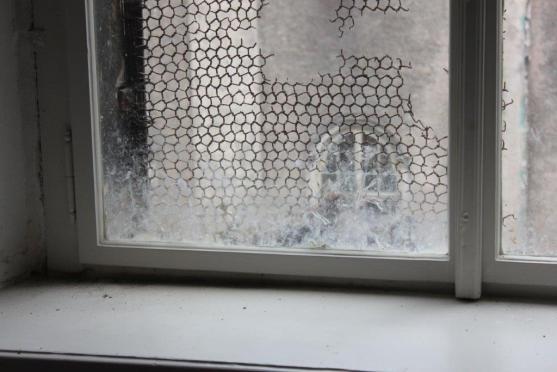 Místo narození: broumovský klášter