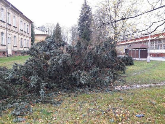 Hasiči na Broumovsku kvůli větru řešili desítky případů