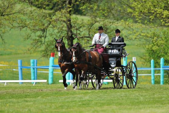 Jiří Nesvačil se stal vítězem v kategorii dvojspřeží při mezinárodních závodech koňských spřežení v Polici nad Metují