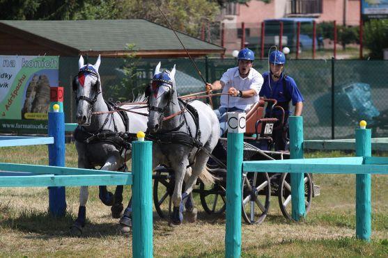 Staronoví mistři opratí z Police nad Metují