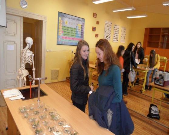 Den otevřených dveří potvrdil stálý zájem o broumovské gymnázium