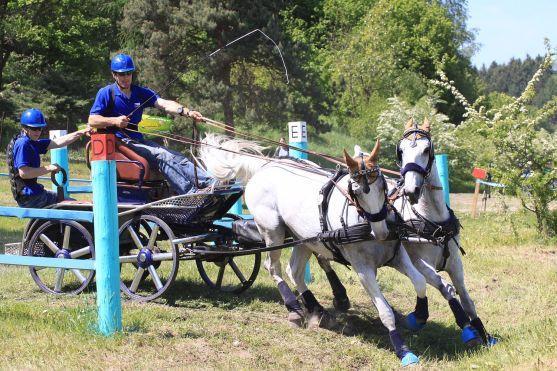 Police nad Metují se připravuje na mezinárodní spřežení 2013