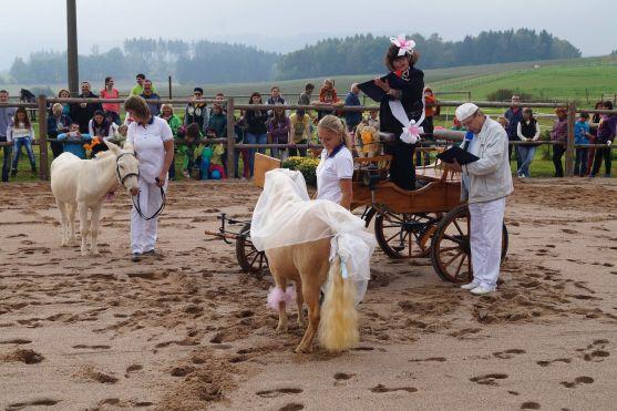 V Jízdárně Hejtmánkovice byla oddána kobylka Polárka a oslík Cukřík