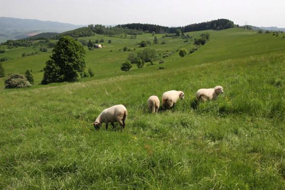 Sudetská překvapení: Hrabství kladské (Zemia Klodzka) - putování krajinou dolního Slezska