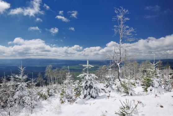 Včerejší zimní pohádka na Ruprechtickém Špičáku