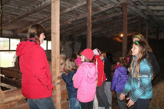 Za vysvědčení Den na koni