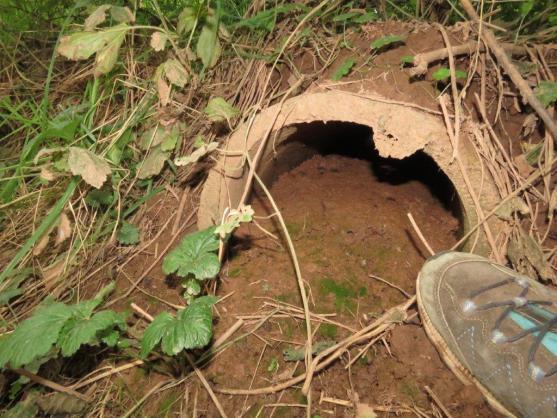 Hrozba sucha – pomůže zádrž vody v krajině? 