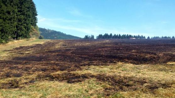 V Ruprechticích hořely tři hektary pole. Les hasiči zachránili