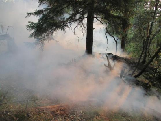 Hasiči dohašovali v Adršpachu požár hrabanky v těžko přístupném terénu