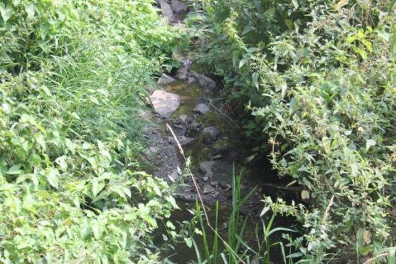 Do odvolání platí zákaz odběru povrchových vod z vodních toků