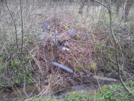 Skauti provedli ke Dni Země úklid lesa