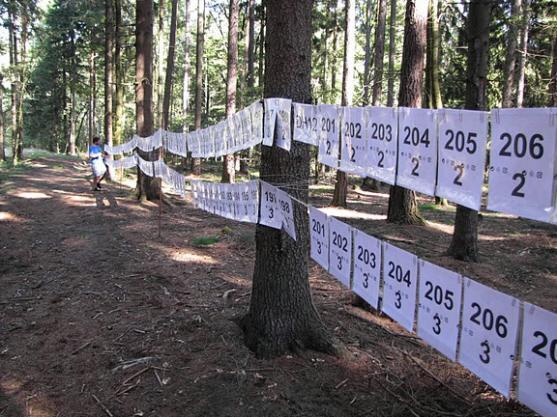 Ve Zdoňově se běžel jeden ze šesti závodů Českého poháru v orientačním běhu štafet 
