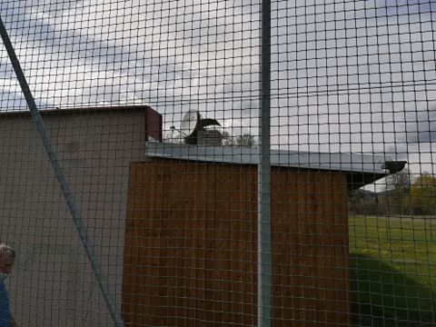 Vandalové v Olivětíně pravidelně ničí sportovní hřiště 