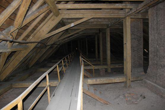 Seminář seznámí účastníky jak bojovat proti dřevokazným škůdcům 