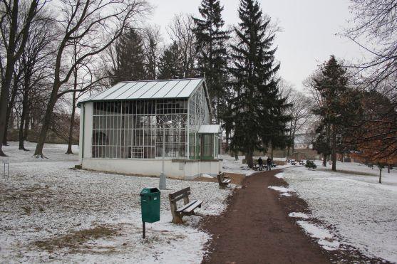 V broumovském Schrollově parku se budou kácet stromy 