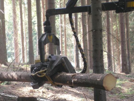 Práce na přípravě rozšíření silnice z Broumova do Police nad Metují přes Pasa začaly 