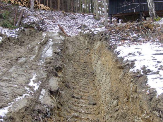Česká inspekce životního prostředí uložila vysoké pokuty za nešetrnou lesní těžbu