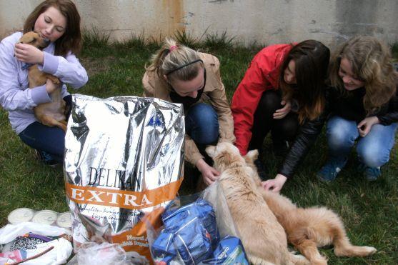 Děti z Červeného Kostelce obdarovaly broumovský útulek