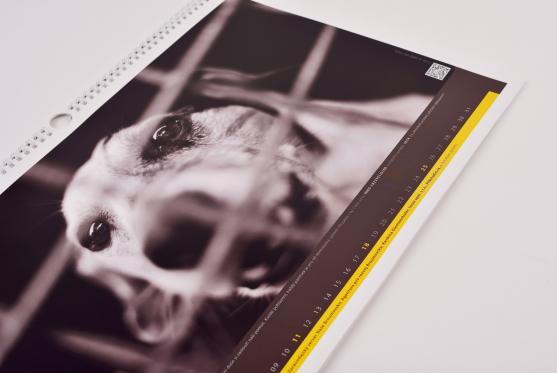 V prodeji je kalendář, který finančně podpoří psí útulek v Broumově