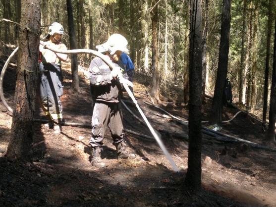 Hasiči likvidovali požár lesního porostu u Ruprechtického Špičáku