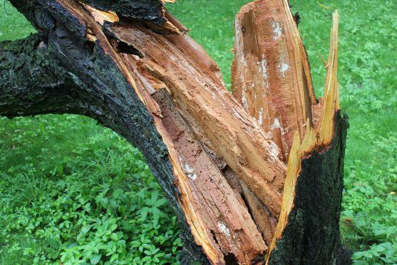Voda ve Stěnavě stoupá. Meteorologové předpokládají déšť do středečního večera