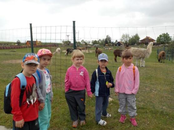 Děti z Mateřské školy Broumov se setkaly s polskými dětmi na Farmě Wenet