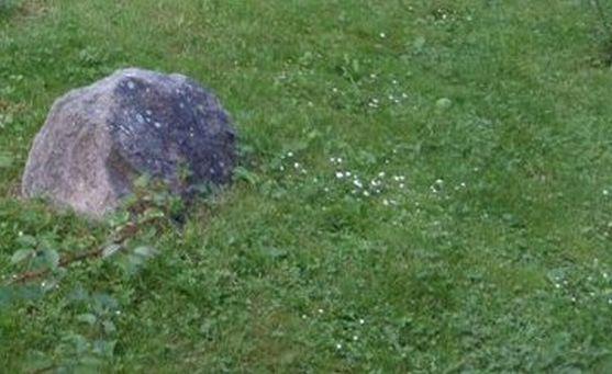 Zářez. Blog Dalibora Novotného 