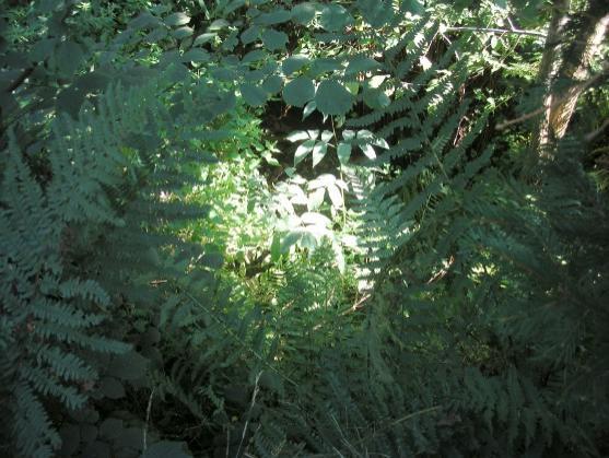 Místa v krajině rozvíjejí cítění a vedou k zamyšlení 