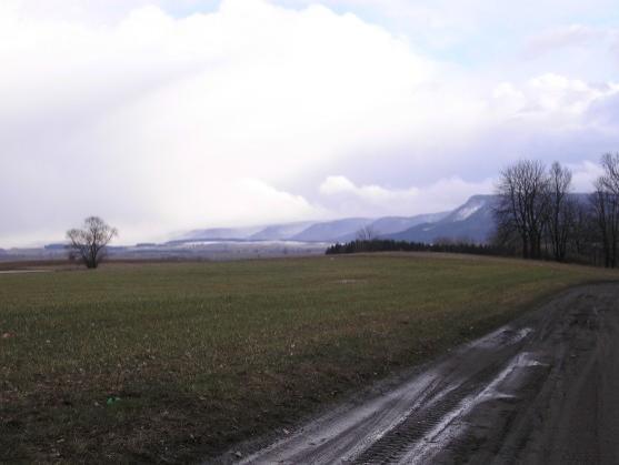 Vypadá to, že zima letos již skončila 