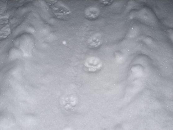 Příběh velkých šelem na Broumovsku