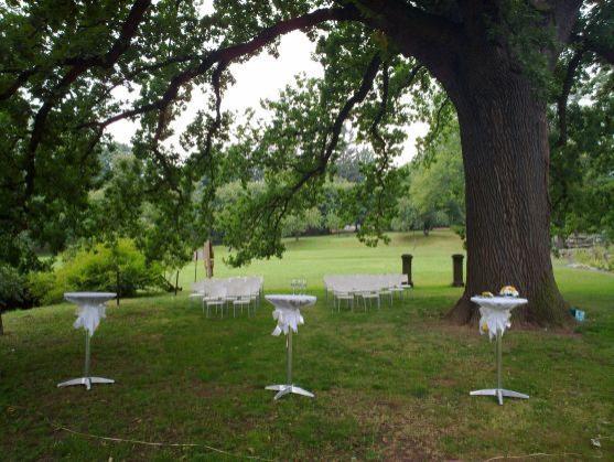 Klášterní knihovna, vodopády ve skalách, vyhlídka na Hvězdě. Na Broumovsku je mnoho míst pro svatební obřad 