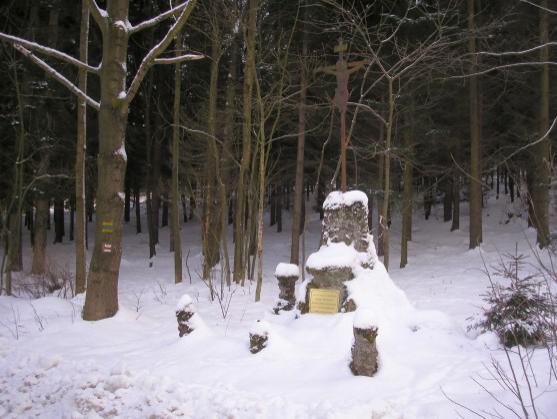 Ženy mají v sobě něco, co by se mělo objevit v politice 