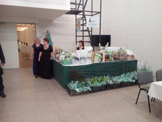 Ples podnikatelů a živnostníků vyprodal Dřevník 