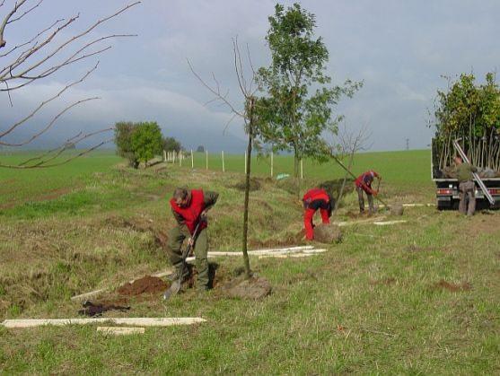 Malá slavnost stromů Broumovska