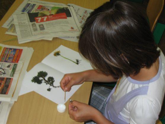 Byl vyhlášen grantový program Máme rádi Broumovsko