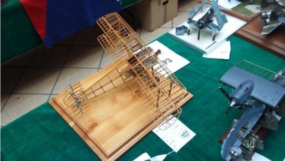 Minimodely ohromily i polské publikum