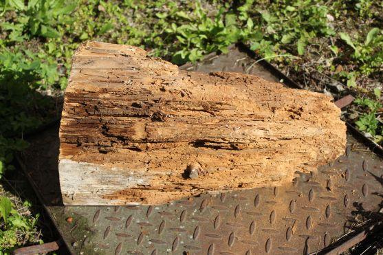 V nové věži kostela v Teplicích nad Metují je opět tubus s informacemi pro příští generace