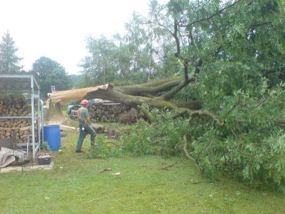 Blesk v Bohdašíně rozštípl vzrostlý strom