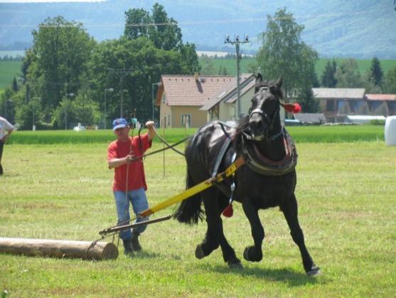 Kvalifikace koní na mistrovství republiky se jela v Martínkovicích u Broumova