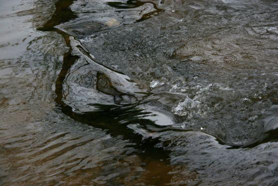 V Teplicích nad Metují své fotografie vystavuje Jindřich Blažek 