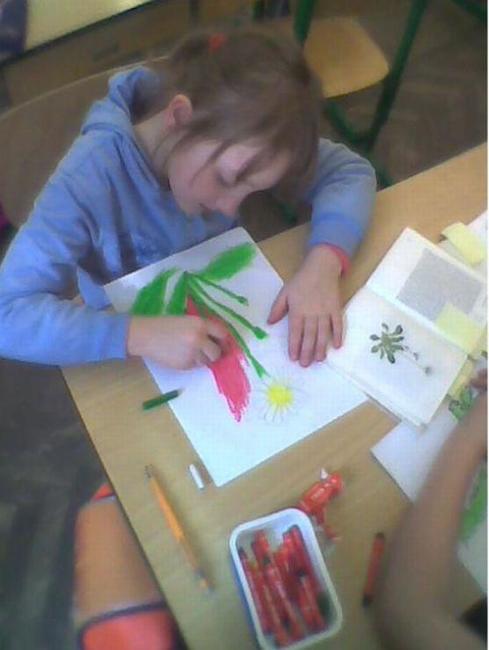 Žáci Základních škol z Meziměstí a Broumova - Olivětína poznávají krajinu, historii a květenu Broumovska