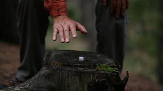 Přípravy vrcholí. Festival Jeden svět se uskuteční v Polici nad Metují již počtvrté 