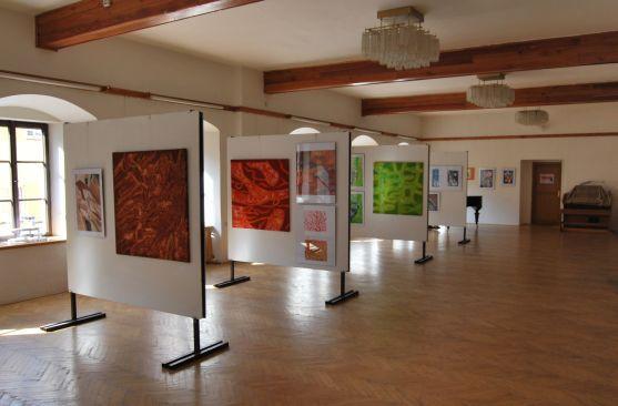 Žáci výtvarného oboru Základní umělecké školy v Broumově vystavují na Staré radnici 