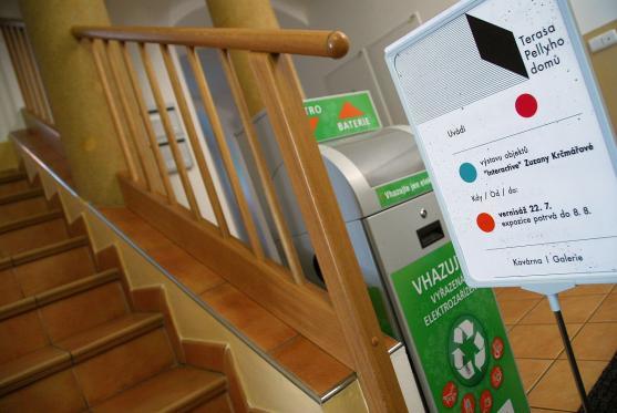 Pavel Frydrych: "Tahle výstava je to nejlepší, co kdy na Terase bylo." 