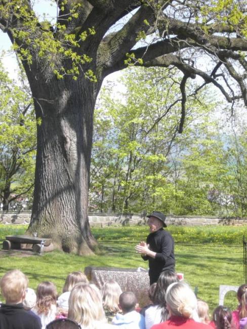 Dub v broumovské klášterní zahradě obsadil krásné 5. místo v anketě Strom roku 2011